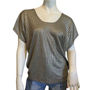 Kim & Cami Womens M Shiny Silver Long Sleeve Pullover Shirt WT16